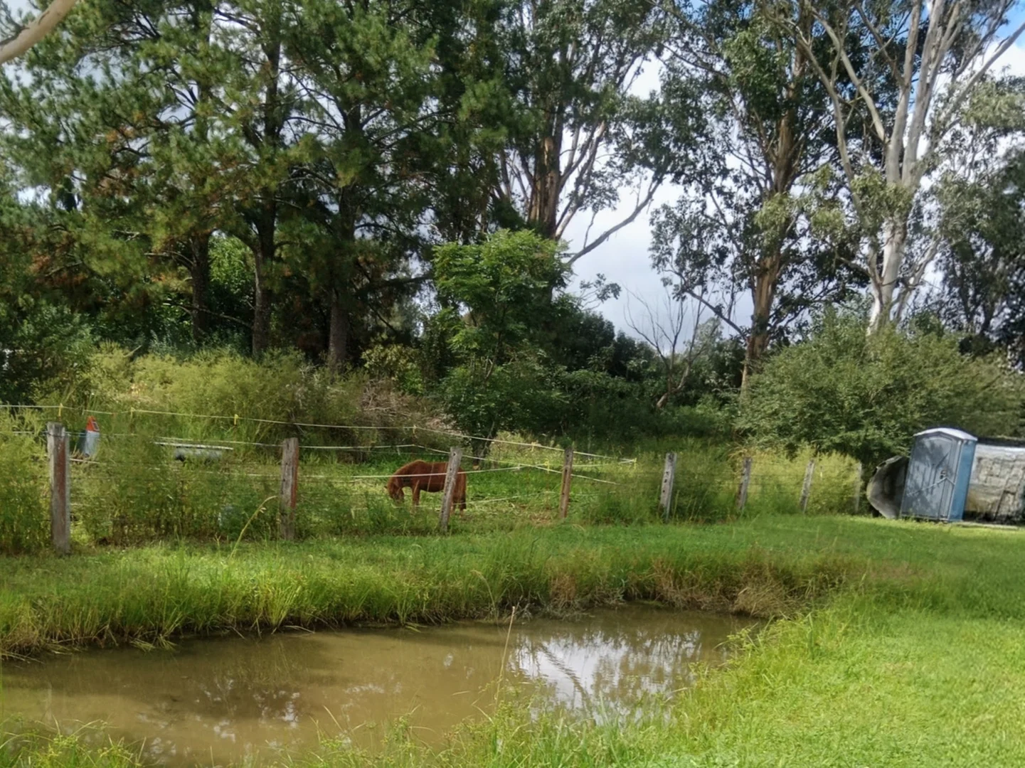 Additional image 12 of 6 Tooloom Street, Urbenville NSW 2475