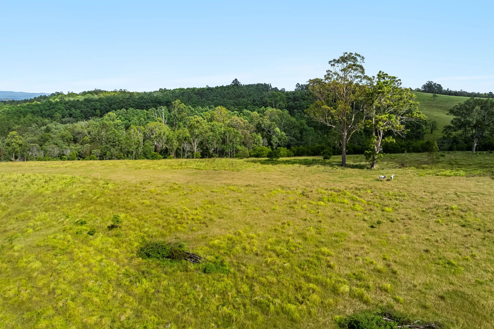 Additional image 12 of 12181 Clarence Way, Sandilands NSW 2469