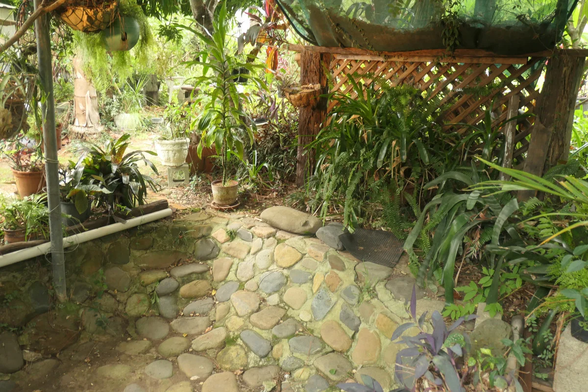 Additional image 14 of 18 Clarence Street, Bonalbo NSW 2469