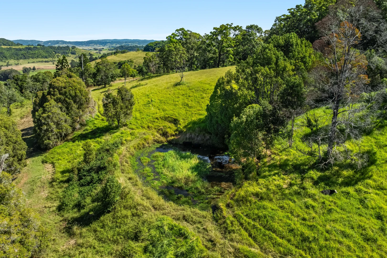 Additional image 21 of 222 Hewitt Road, Booerie Creek NSW 2480