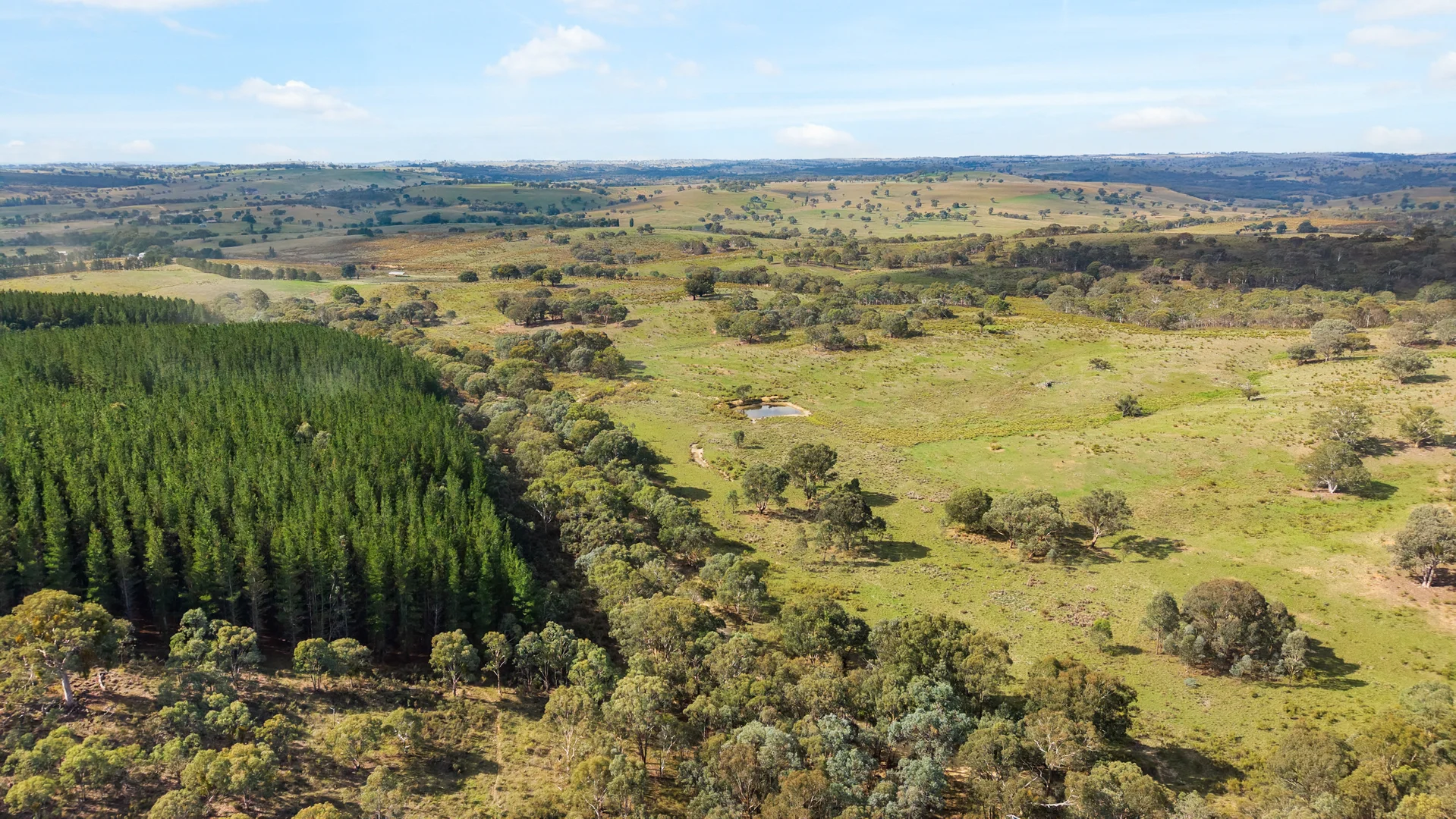 Additional image 27 of 1911 Rugby Road, BEVANDALE, Gunning NSW 2581