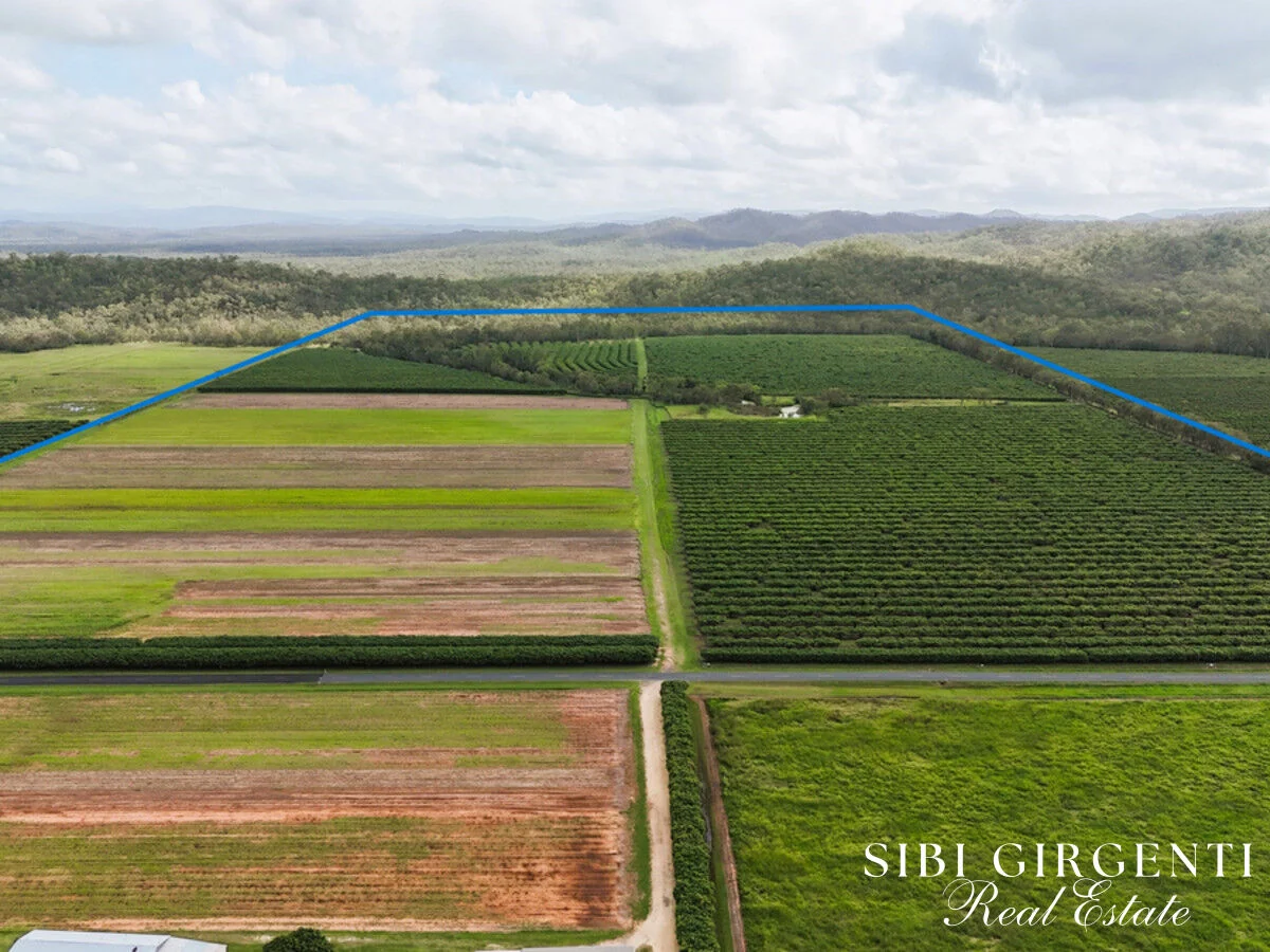 Additional image 3 of 262 Gilmore Road, Mareeba QLD 4880