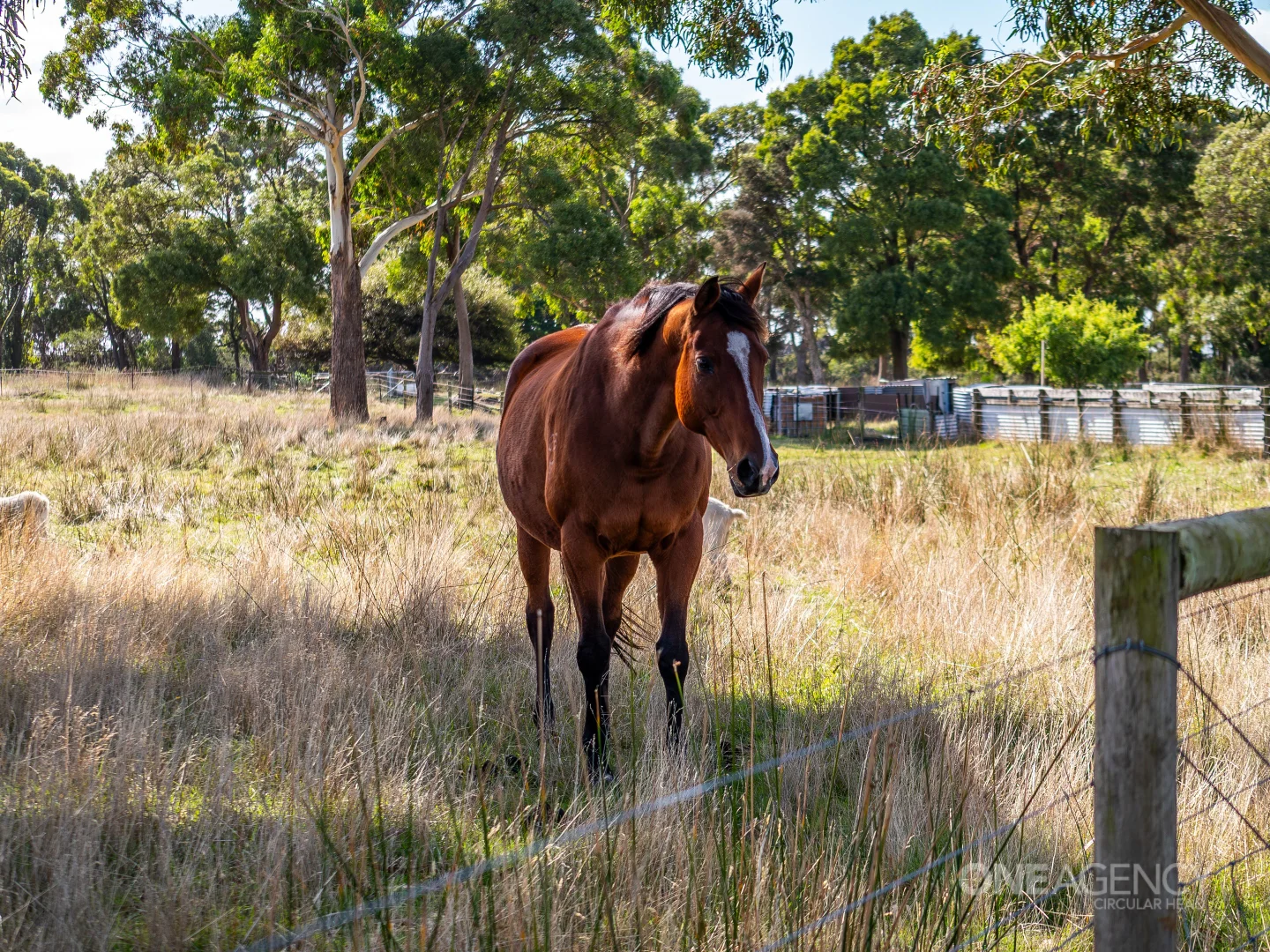 Additional image 25 of 48 Leesville Road, Smithton TAS 7330