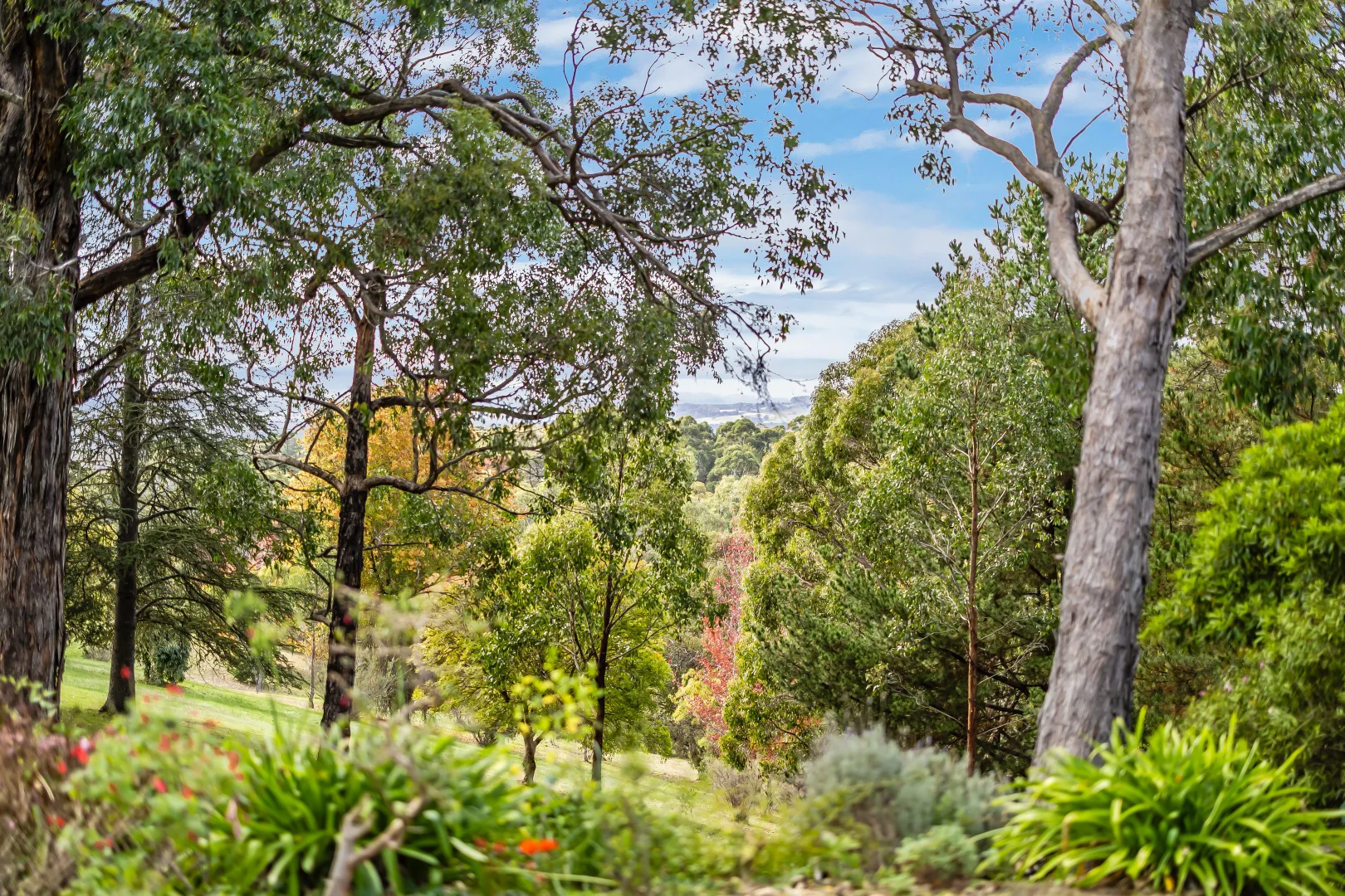 Additional image 21 of 174 Carey Gully Road, Mount George SA 5155
