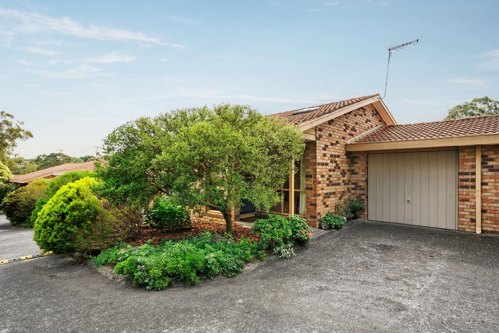3/37 Torbay Street, Macleod VIC 3085