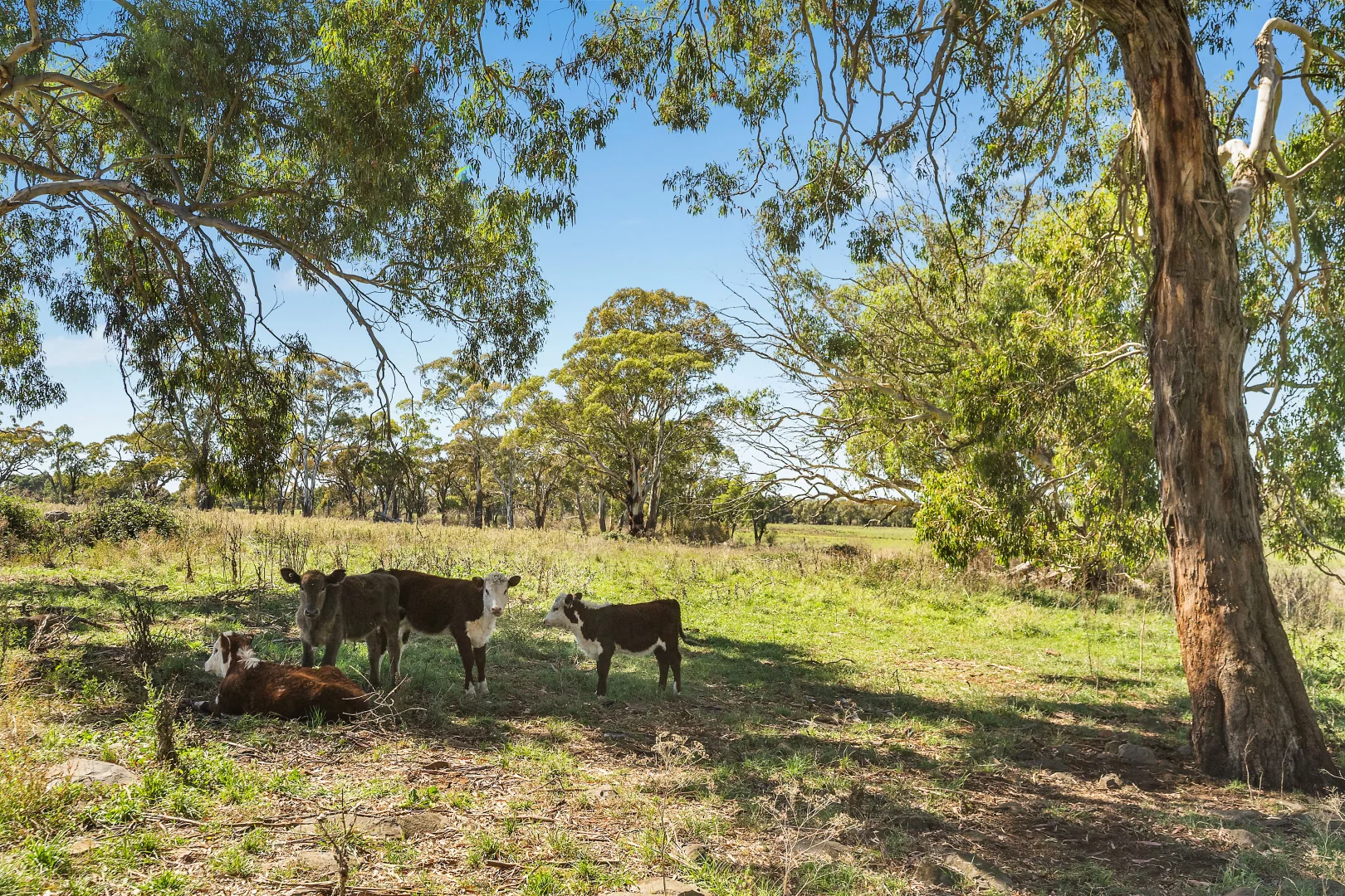 Additional image 4 of 269 Spring Hill Road, Spring Hill NSW 2800