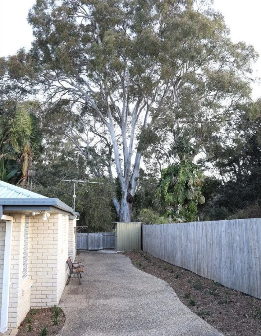 Additional image 3 of 1/55 Wynyard Street, Cleveland QLD 4163