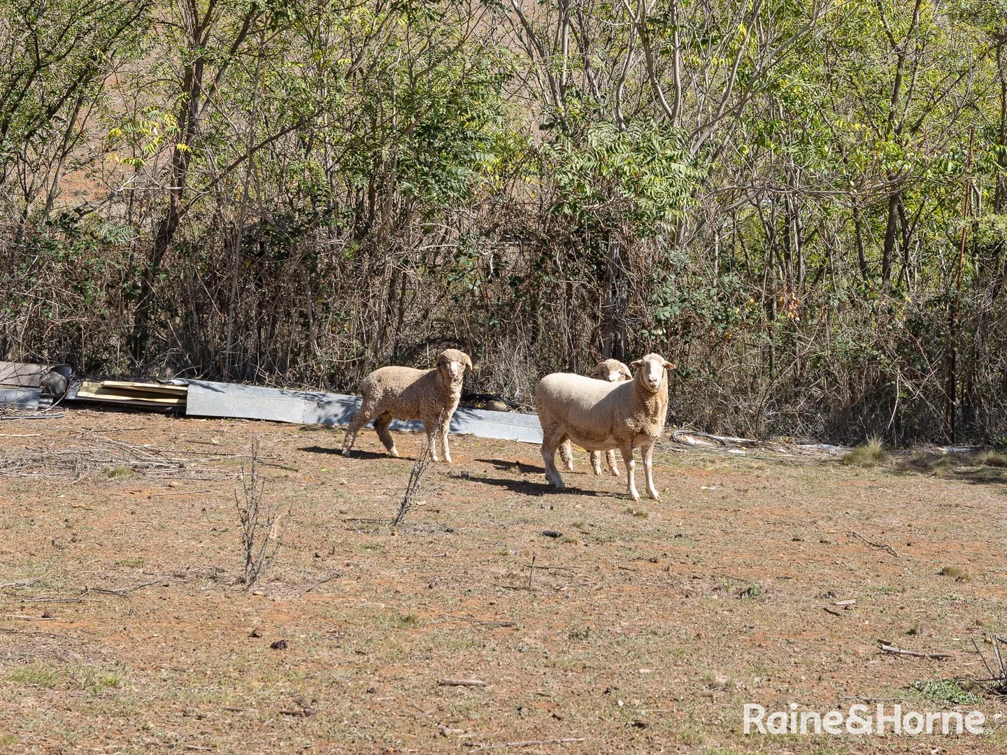 Additional image 10 of 86 Upper Turon Road, Sofala NSW 2795