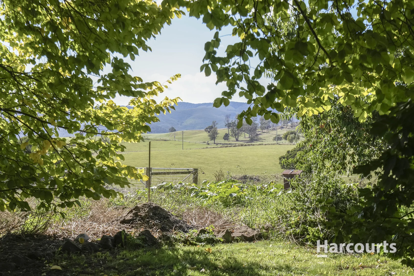 Additional image 47 of 214 Mathinna Plains Road, Ringarooma TAS 7263