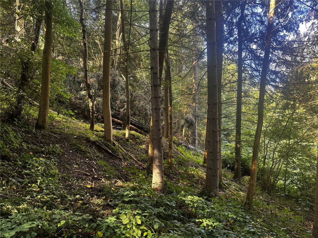 Additional image 5 of Land for saleBerriew, Welshpool, Powys SY21