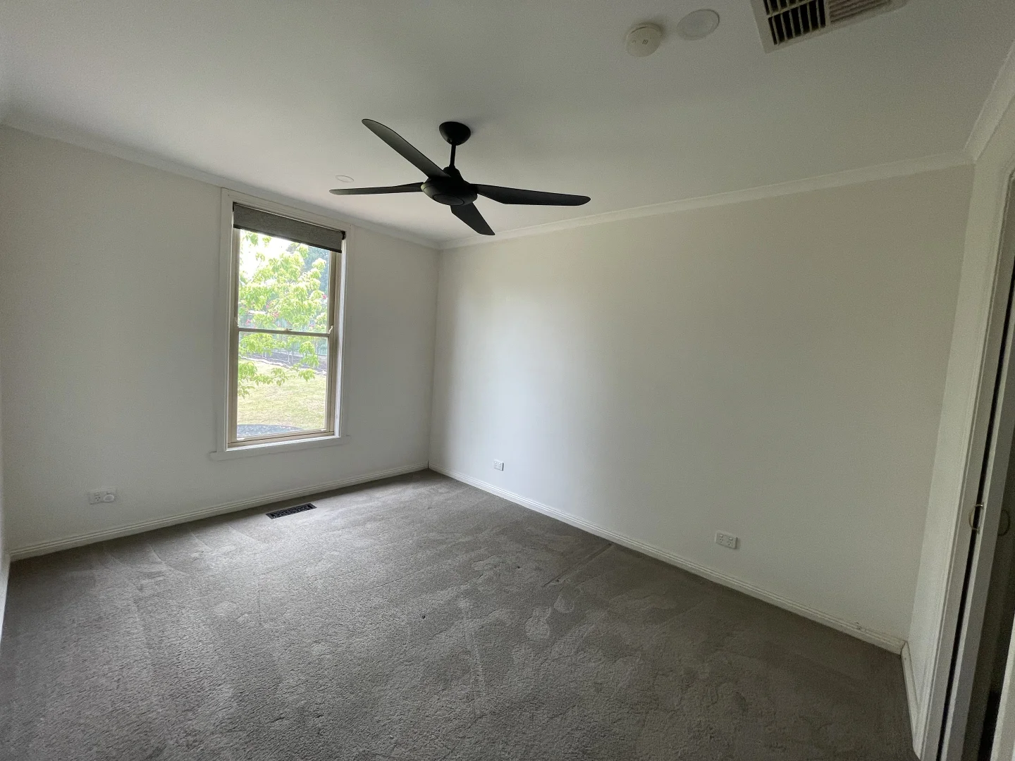 Additional image 8 of 466 Napier Street, White Hills VIC 3550