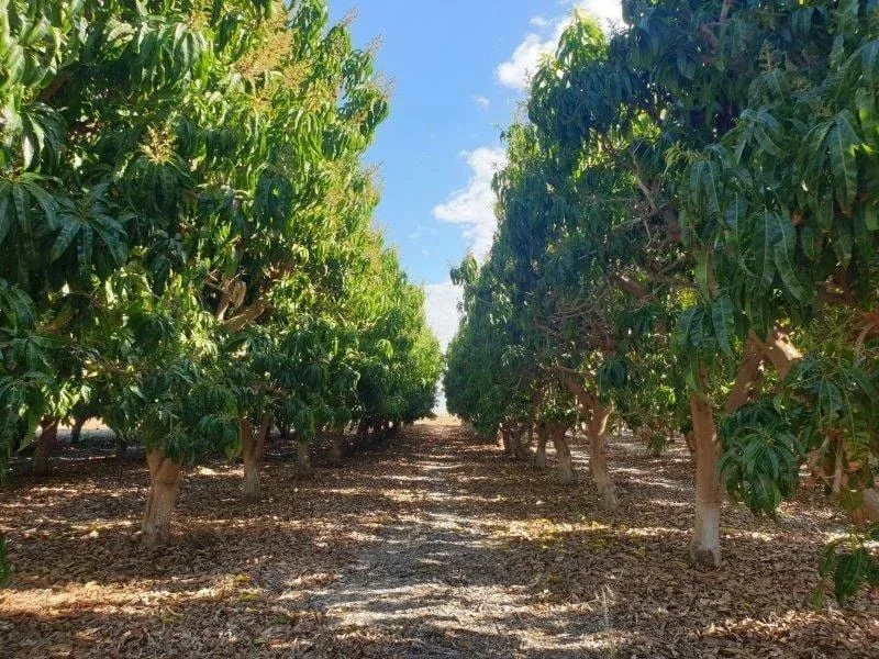 Additional image 2 of 137/138 North River Road, North Plantations WA 6701