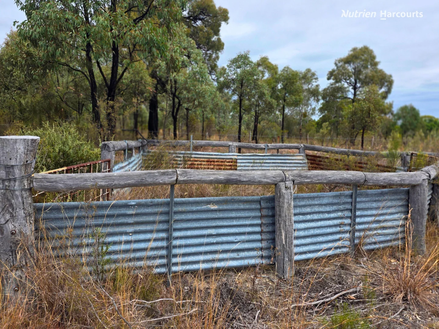 Additional image 10 of 296 Gulf Road, Emmaville NSW 2371