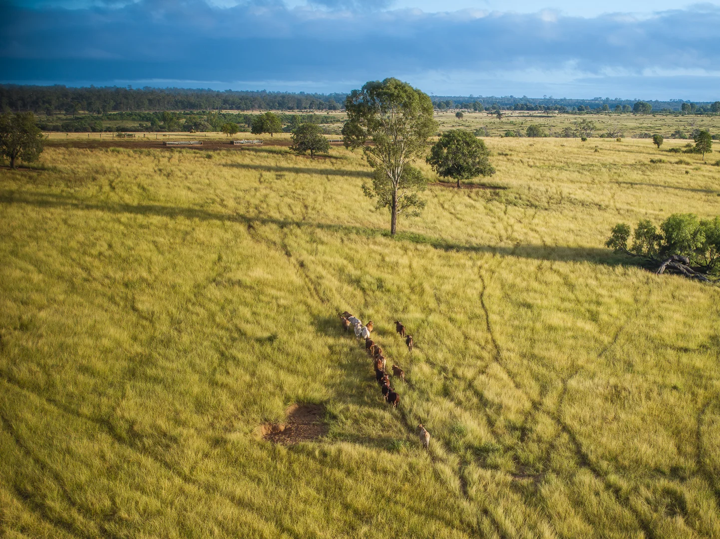 Additional image 9 of 1727 Boombah Road, Mackenzie QLD 4702