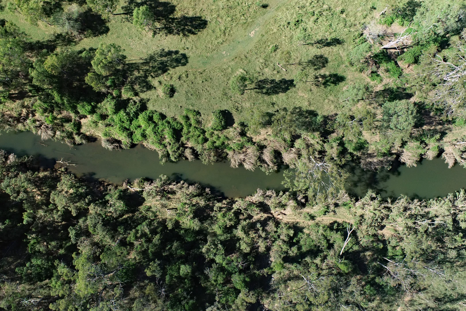 Additional image 5 of 2956 Dawson Highway, Calliope QLD 4680