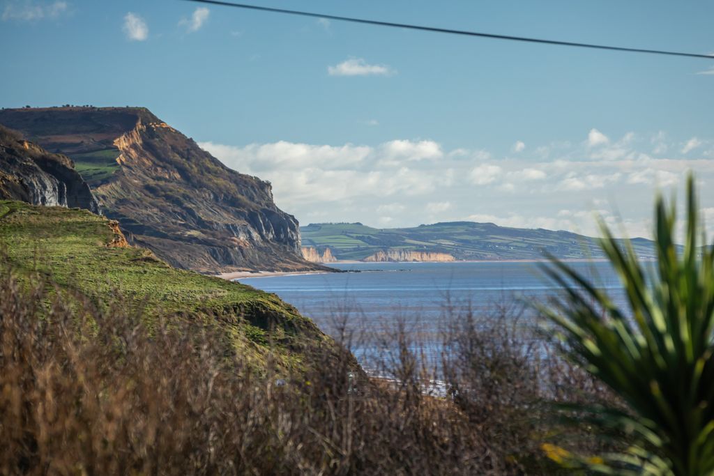 Additional image 18 of 4 bed bungalow for saleHigher Sea Lane, Charmouth, Bridport, Dorset DT6