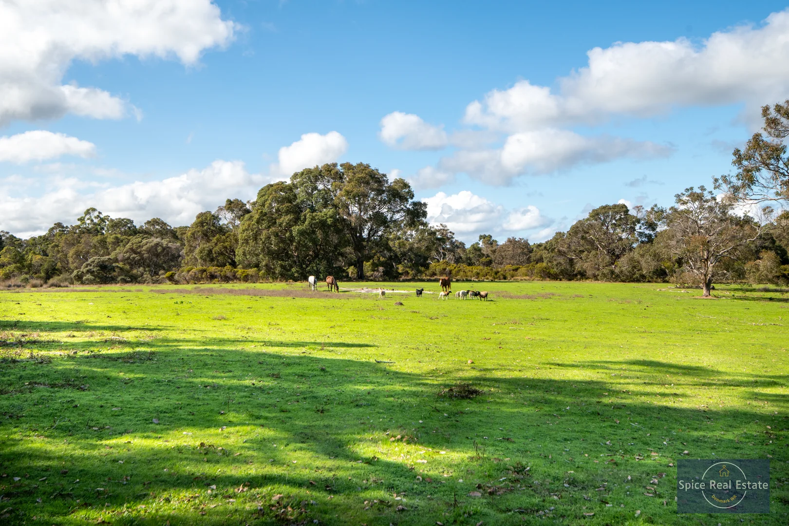 Additional image 6 of 126 Bidewell Road, Kordabup WA 6333