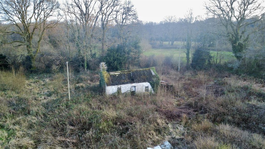 Additional image 21 of 2 bed farm for saleLlangeler, Llandysul SA44