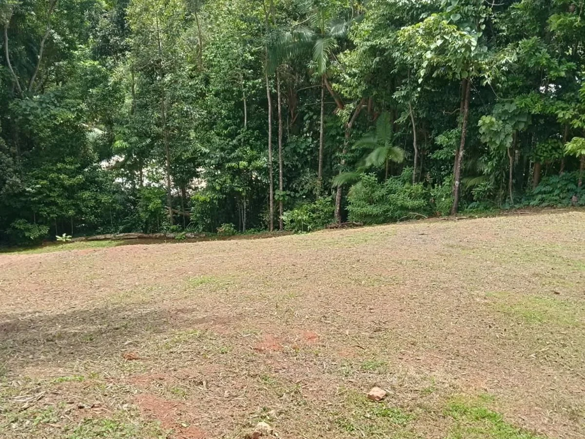 Additional image 10 of 68 Cutten Street, Bingil Bay QLD 4852
