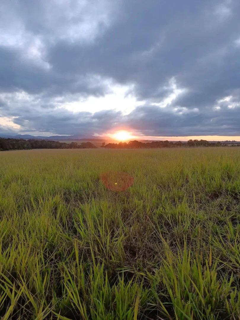 Additional image 7 of Lot 12 Pinnacle Pocket Road, East Barron QLD 4883