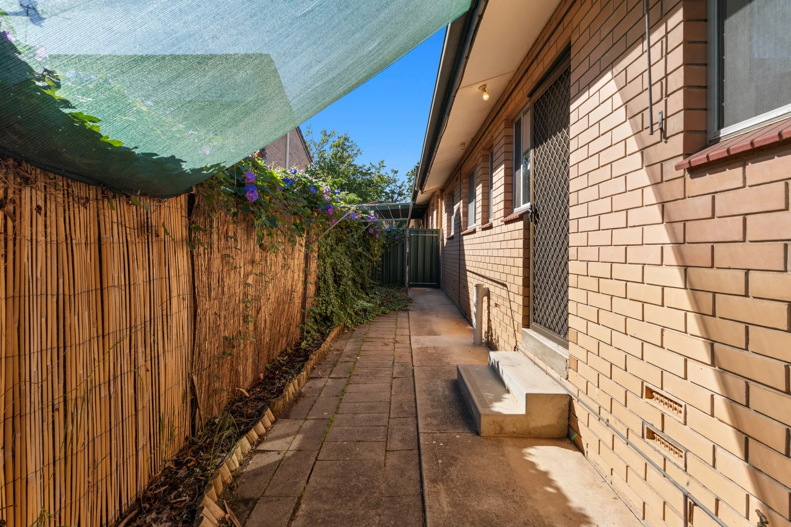 Additional image 11 of 3/19 Desamaurez Street, Kensington Park SA 5068