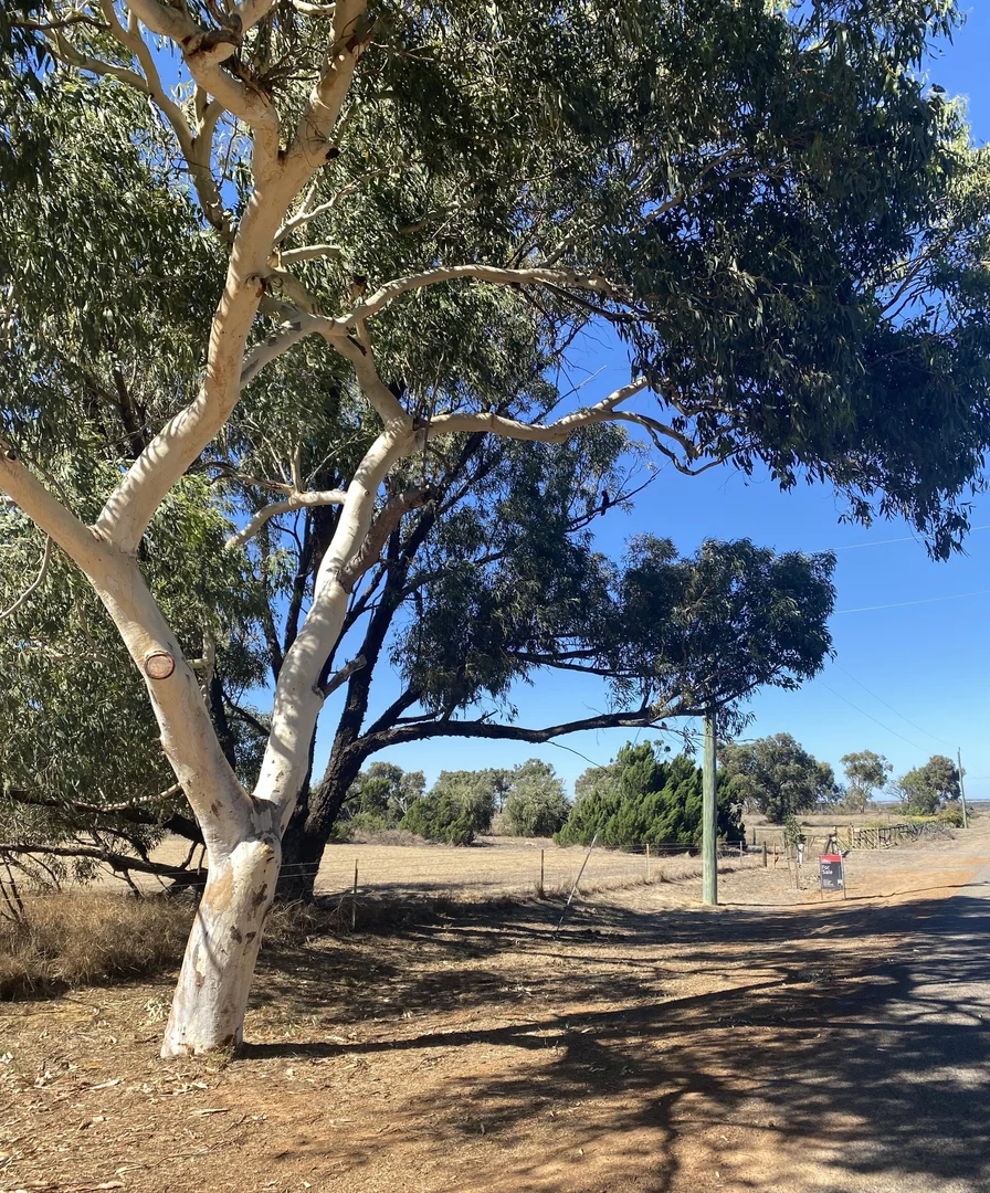Additional image 9 of 23A Trant Road, Moresby WA 6530