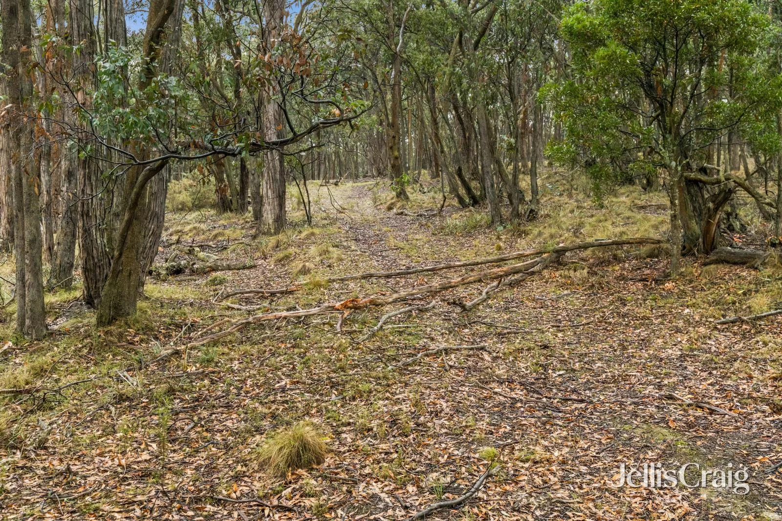 Additional image 14 of Lot 1 Skirkas Road, Buninyong VIC 3357