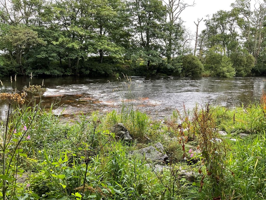Additional image 6 of Land for saleRiver South Esk, Finavon, Angus DD8
