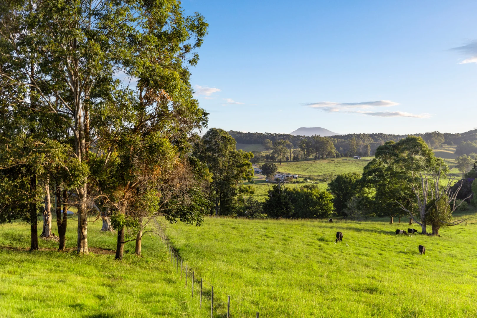 Additional image 31 of 423 Hydes Creek Road, Bellingen NSW 2454