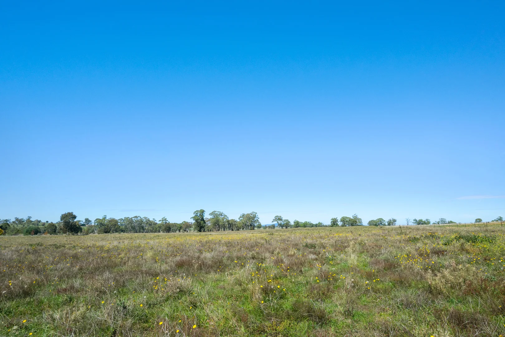 Additional image 19 of 269 Spring Hill Road, Spring Hill NSW 2800