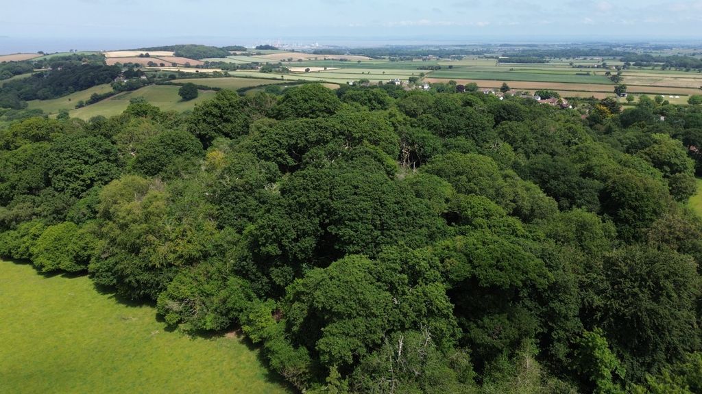 Additional image 2 of Land for saleHolford, Bridgwater, Somerset TA5