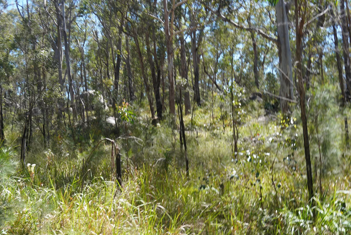 Additional image 24 of 619 Bulldog Road, Bulldog NSW 2469