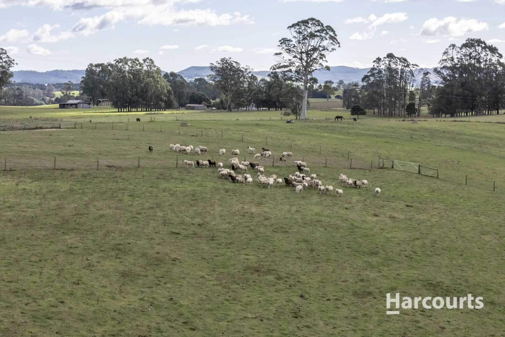 Additional image 38 of 214 Mathinna Plains Road, Ringarooma TAS 7263