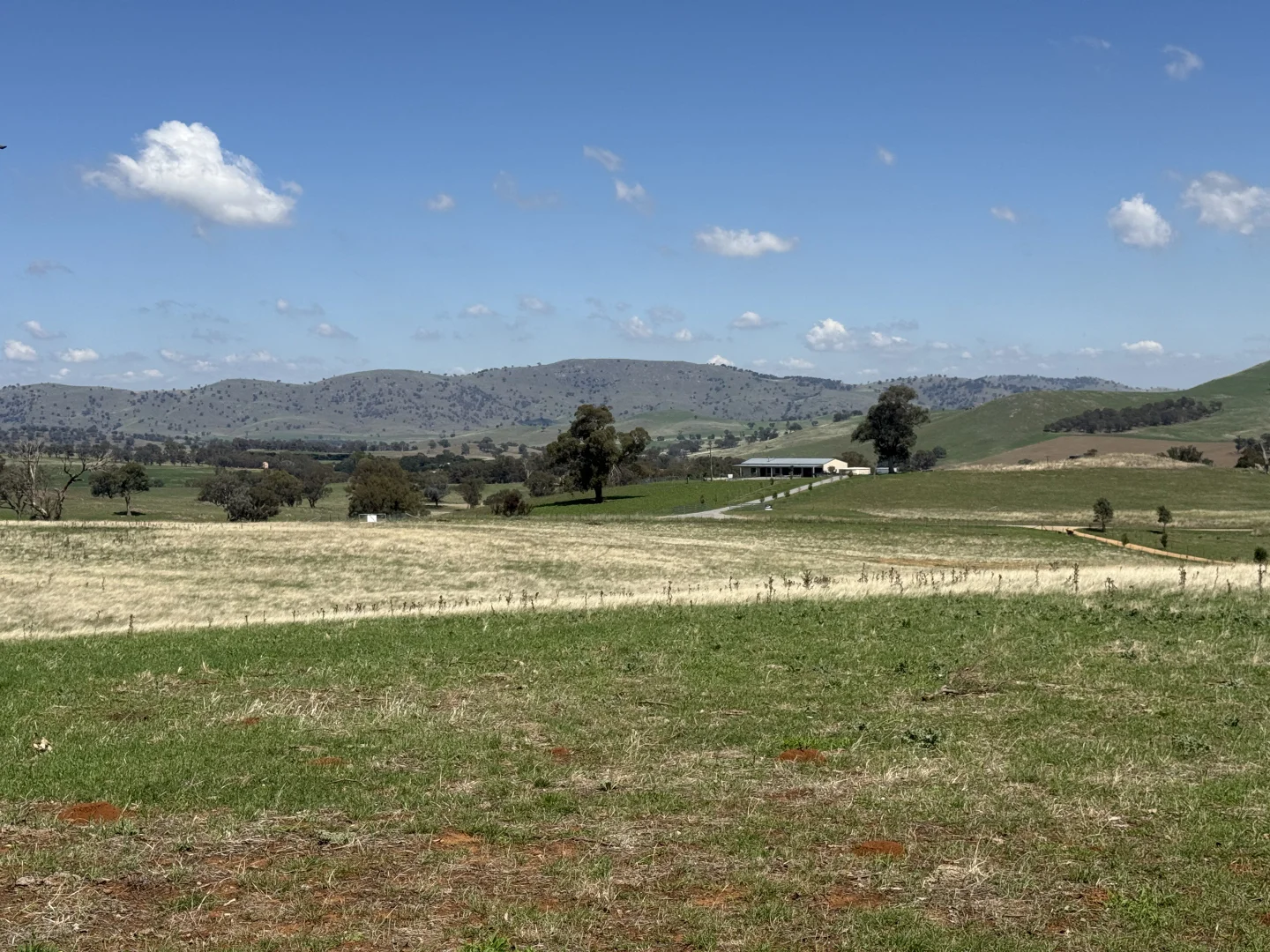 Additional image 9 of Camerons Hill Lot 17 Reynolds Lane, Binalong NSW 2584