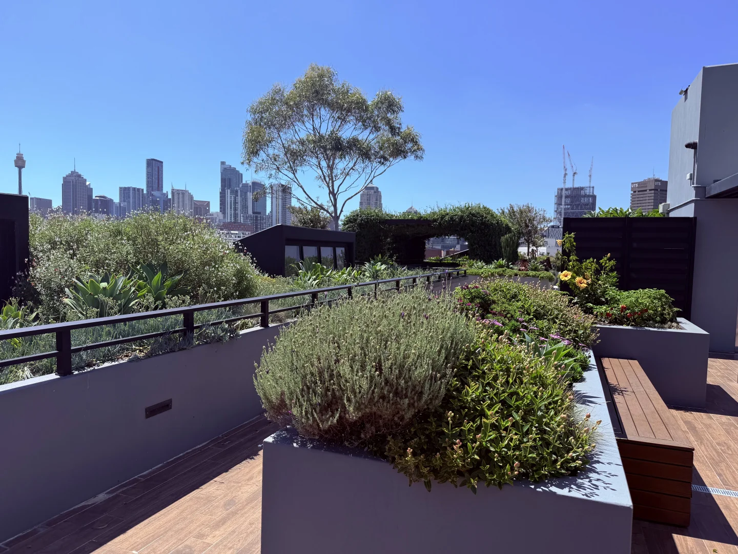 Additional image 13 of 112/5 Elger St, Glebe NSW 2037
