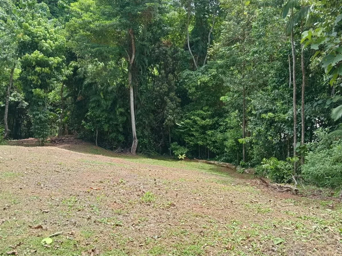 Additional image 9 of 68 Cutten Street, Bingil Bay QLD 4852