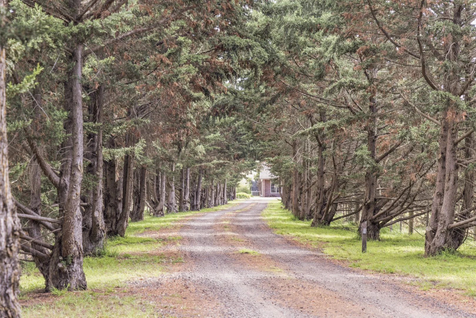 Additional image 4 of 1545 Mickleham Road, Yuroke VIC 3063