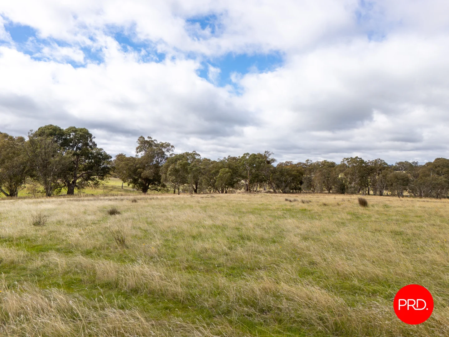 Additional image 13 of 1445 Bendigo-Sutton Grange Road, Sutton Grange VIC 3448