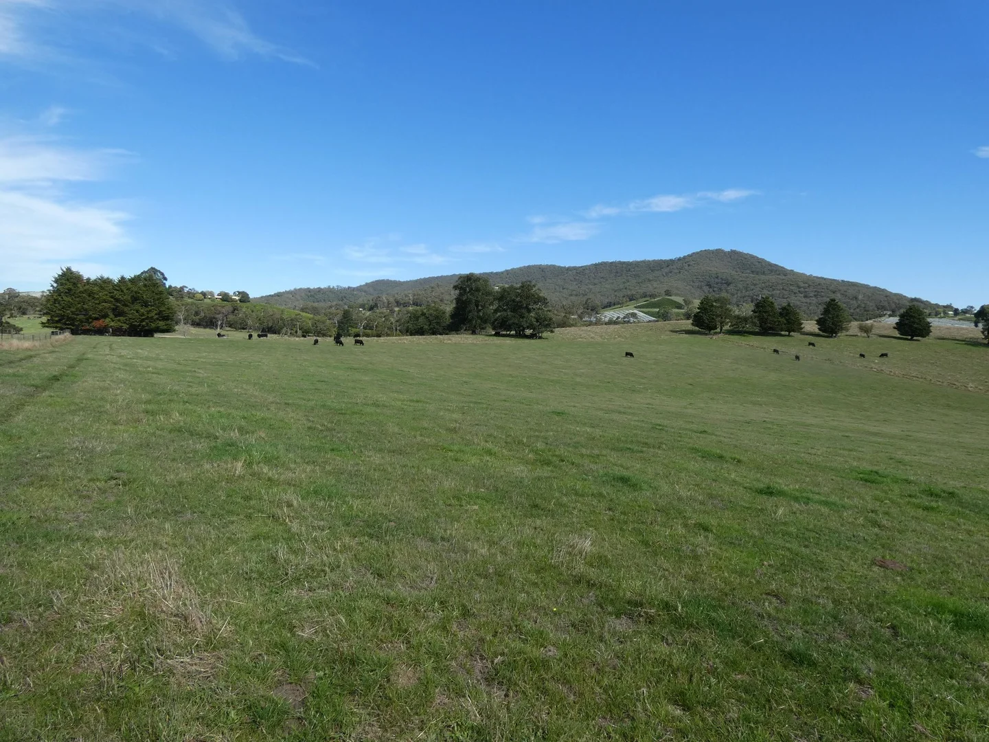 Additional image 26 of 70 Hill Road, Gruyere VIC 3770
