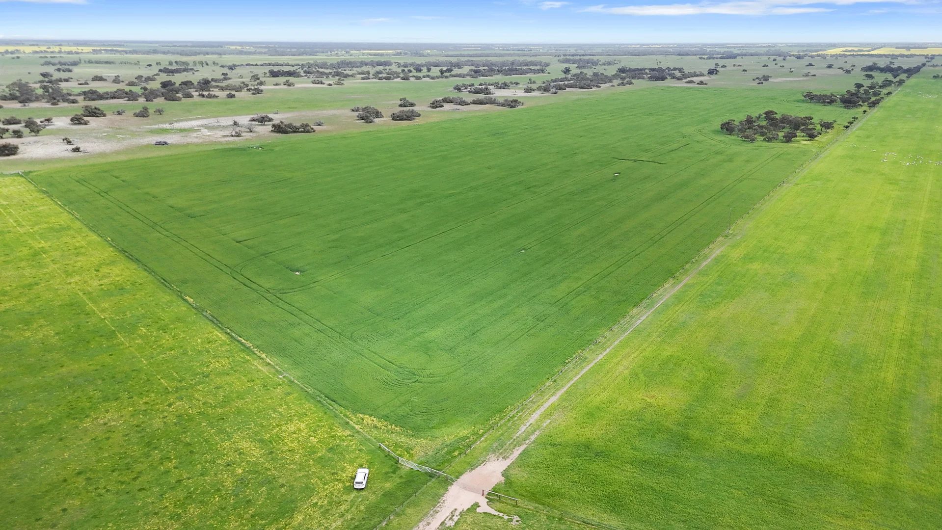 Additional image 7 of 1412 Red Bluff Road, Bordertown SA 5268