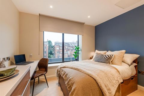 Elmwood Avenue, Belfast BT9, Studio to rent