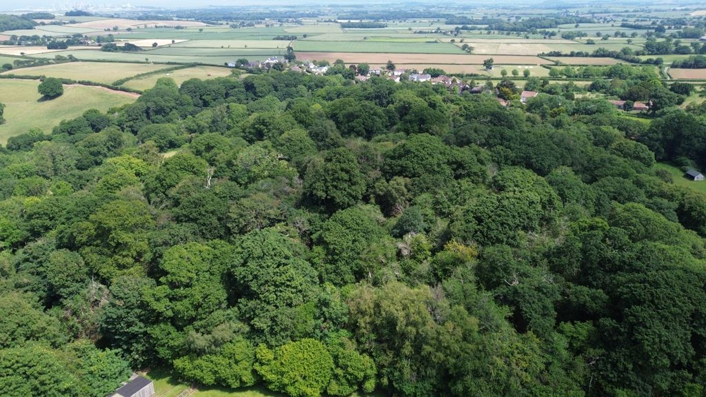 Additional image 13 of Land for saleHolford, Bridgwater, Somerset TA5