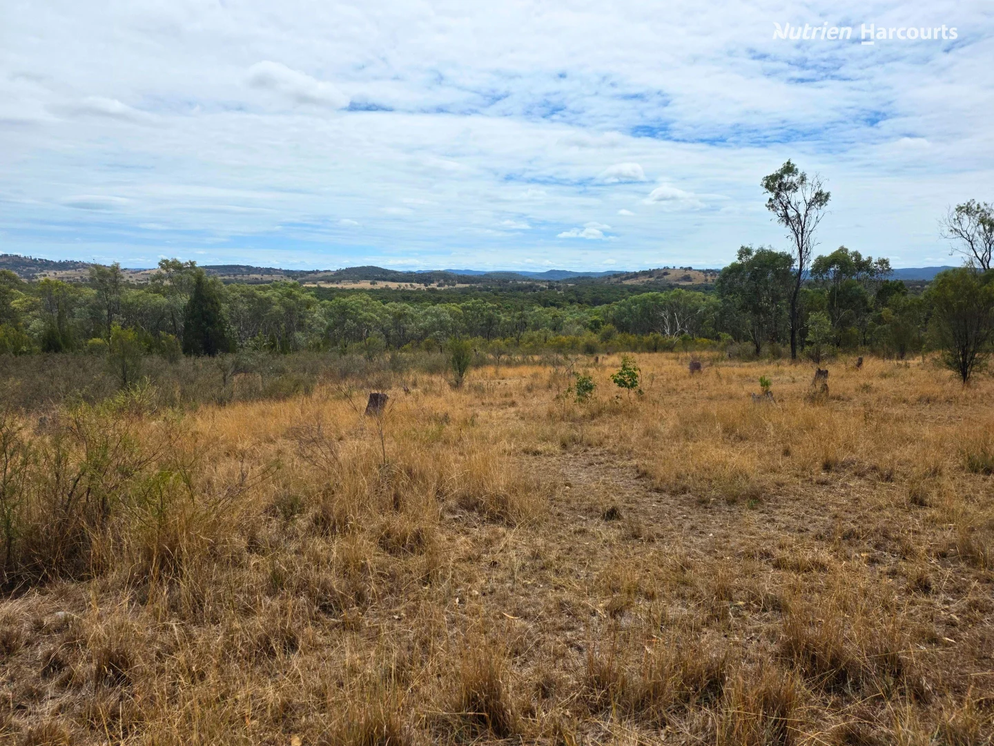 Additional image 16 of 296 Gulf Road, Emmaville NSW 2371
