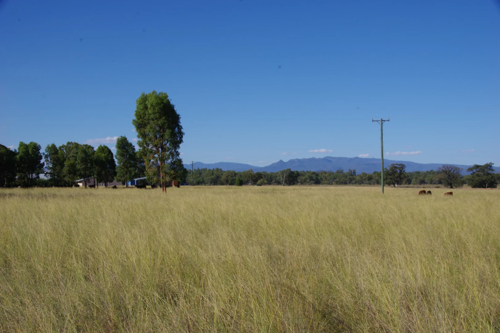 Additional image 36 of 18258 Kamilaroi Highway, Narrabri NSW 2390