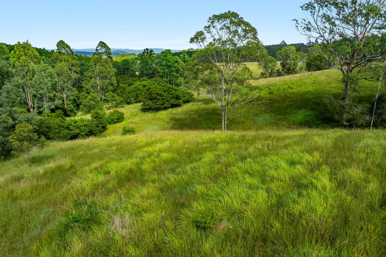 Additional image 11 of 12181 Clarence Way, Sandilands NSW 2469