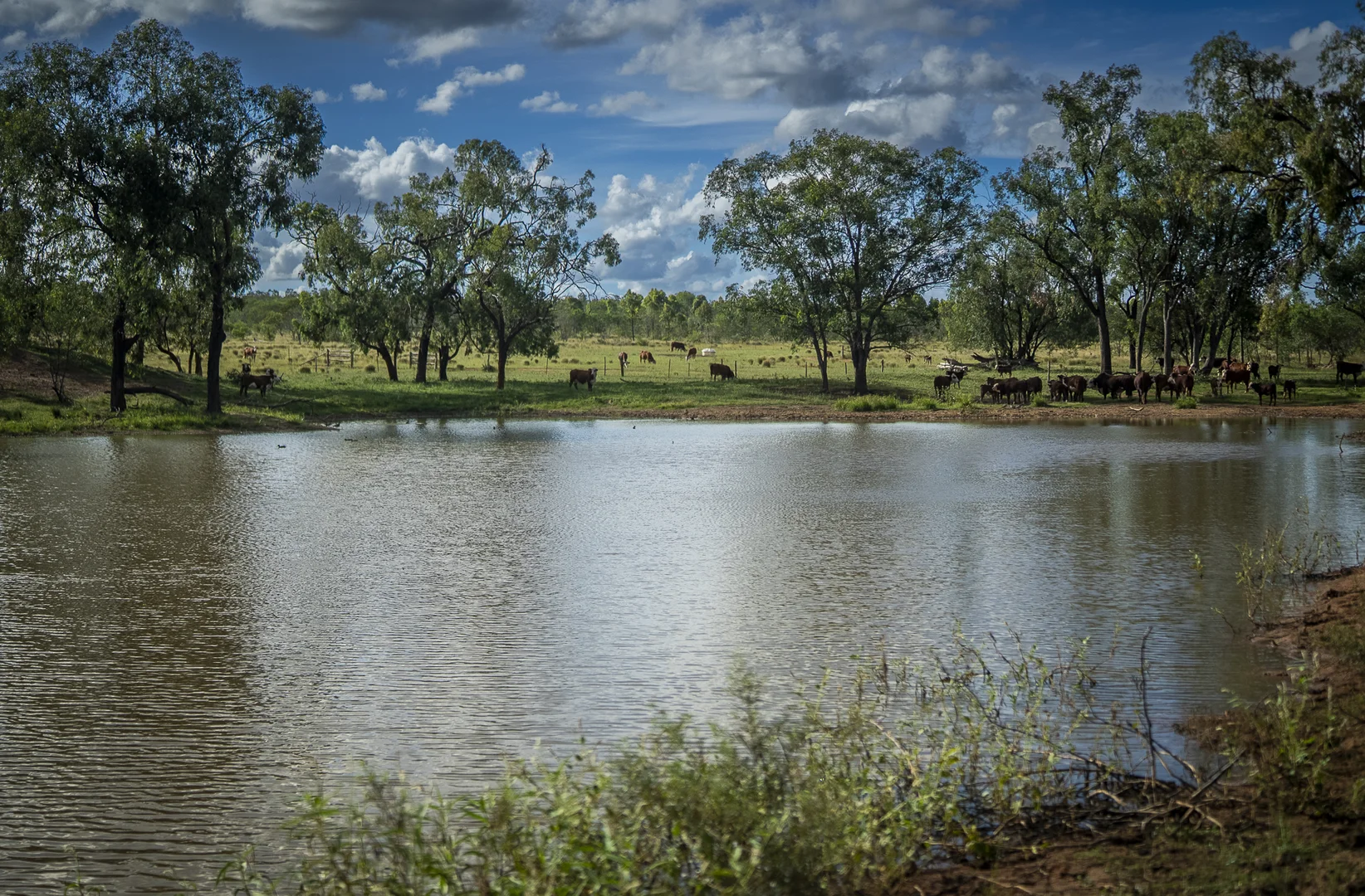 Additional image 33 of 1727 Boombah Road, Mackenzie QLD 4702