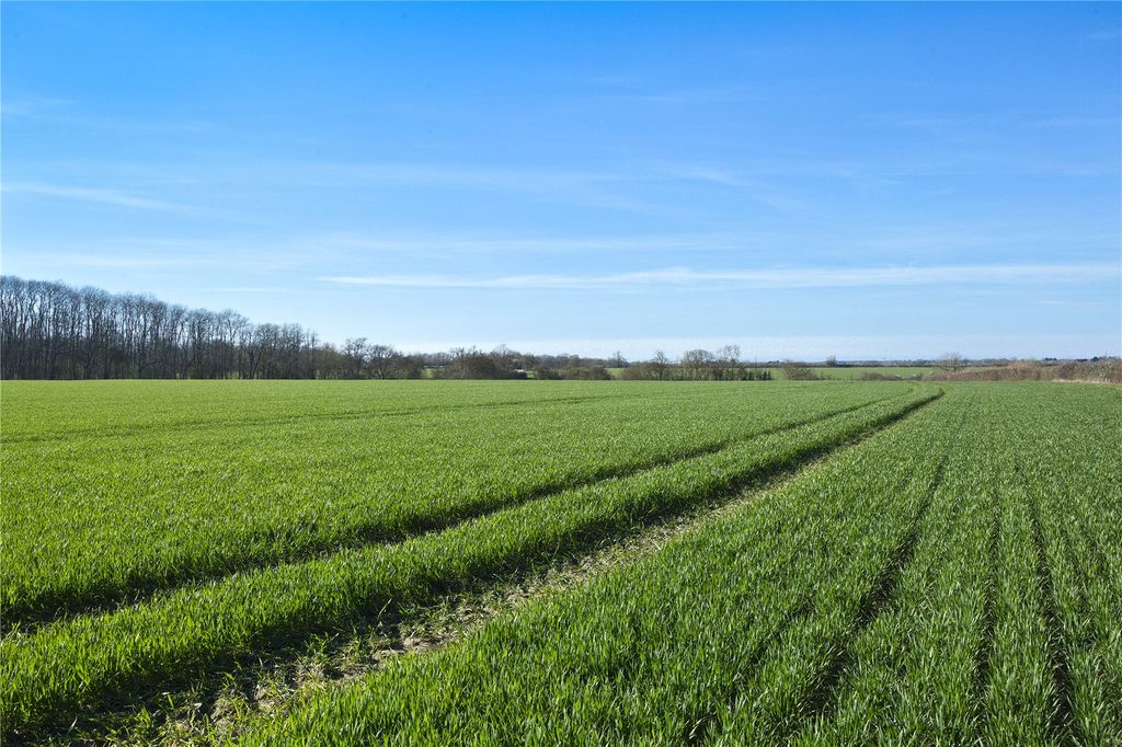 Additional image 5 of Land for saleLot 2, Land At Longstowe And Bourn, Longstowe, Cambridge, Cambridgeshire CB23