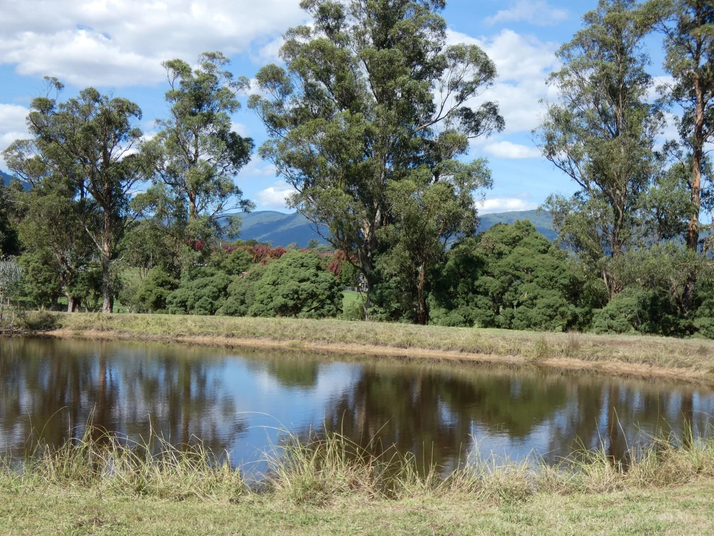 Additional image 6 of Healesville VIC 3777