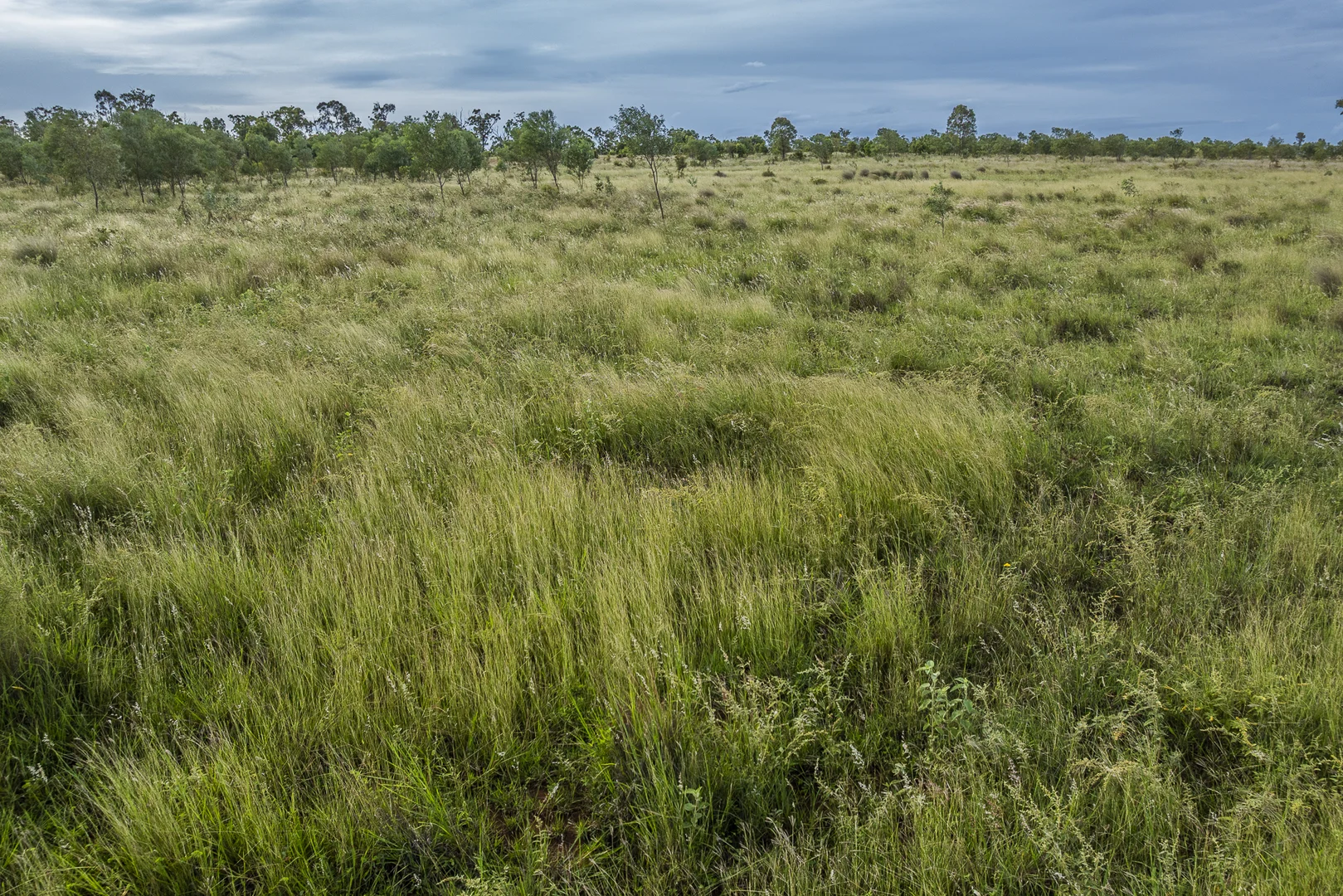Additional image 15 of 1727 Boombah Road, Mackenzie QLD 4702