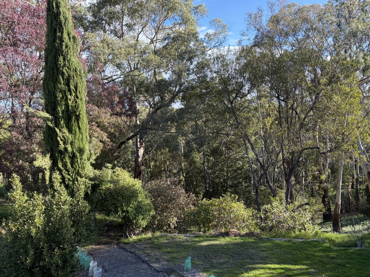 Additional image 13 of 7 King St, Mount Macedon VIC 3441